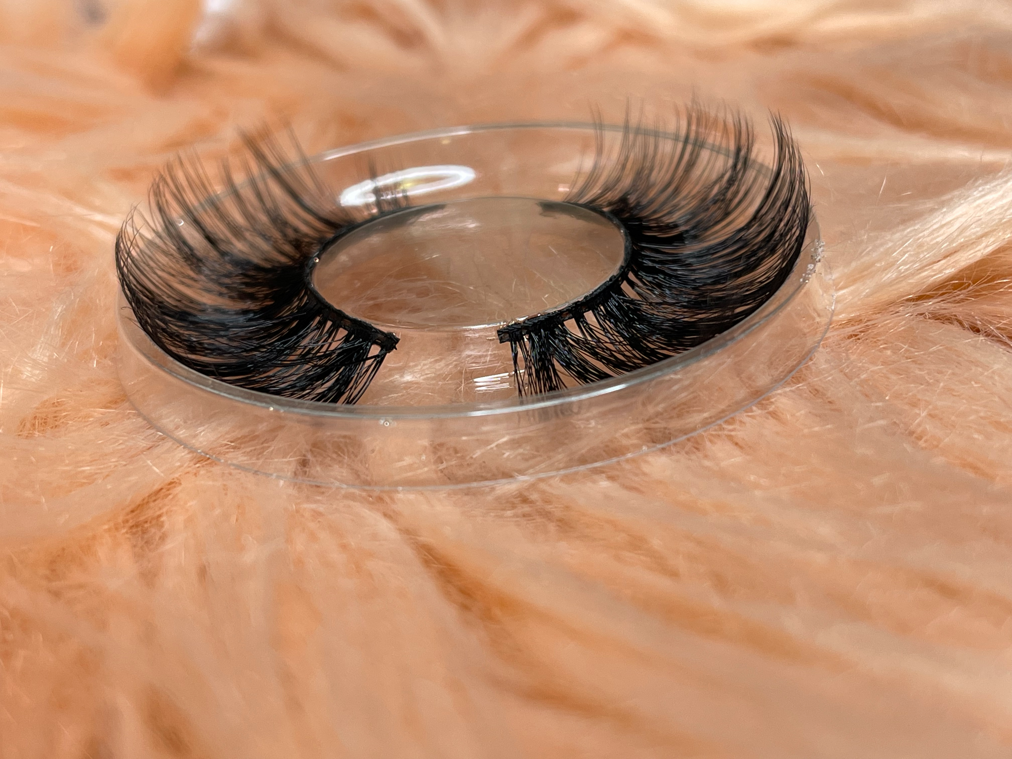 Bella Lash